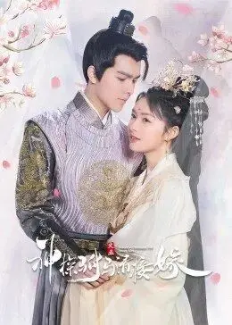 《神探驸马请接嫁》：古装探案喜剧来袭，驸马化身神探，爆笑破案寻真凶！