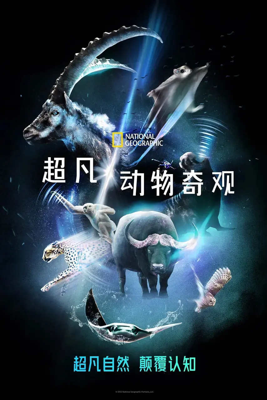 《超凡动物奇观》：震撼揭秘动物世界的生存法则，探索不为人知的生命奇迹！