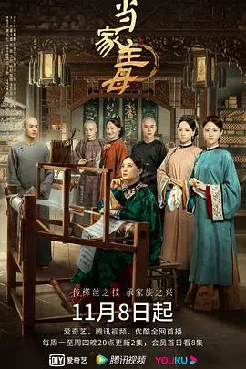 《当家主母》：宅斗剧里的丝绸迷局，看蒋勤勤如何演绎清代女性的隐忍与反击